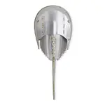 Horseshoe Crab Silver (Stainless/Bronze)