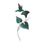 Single Hummingbird Morning Glory