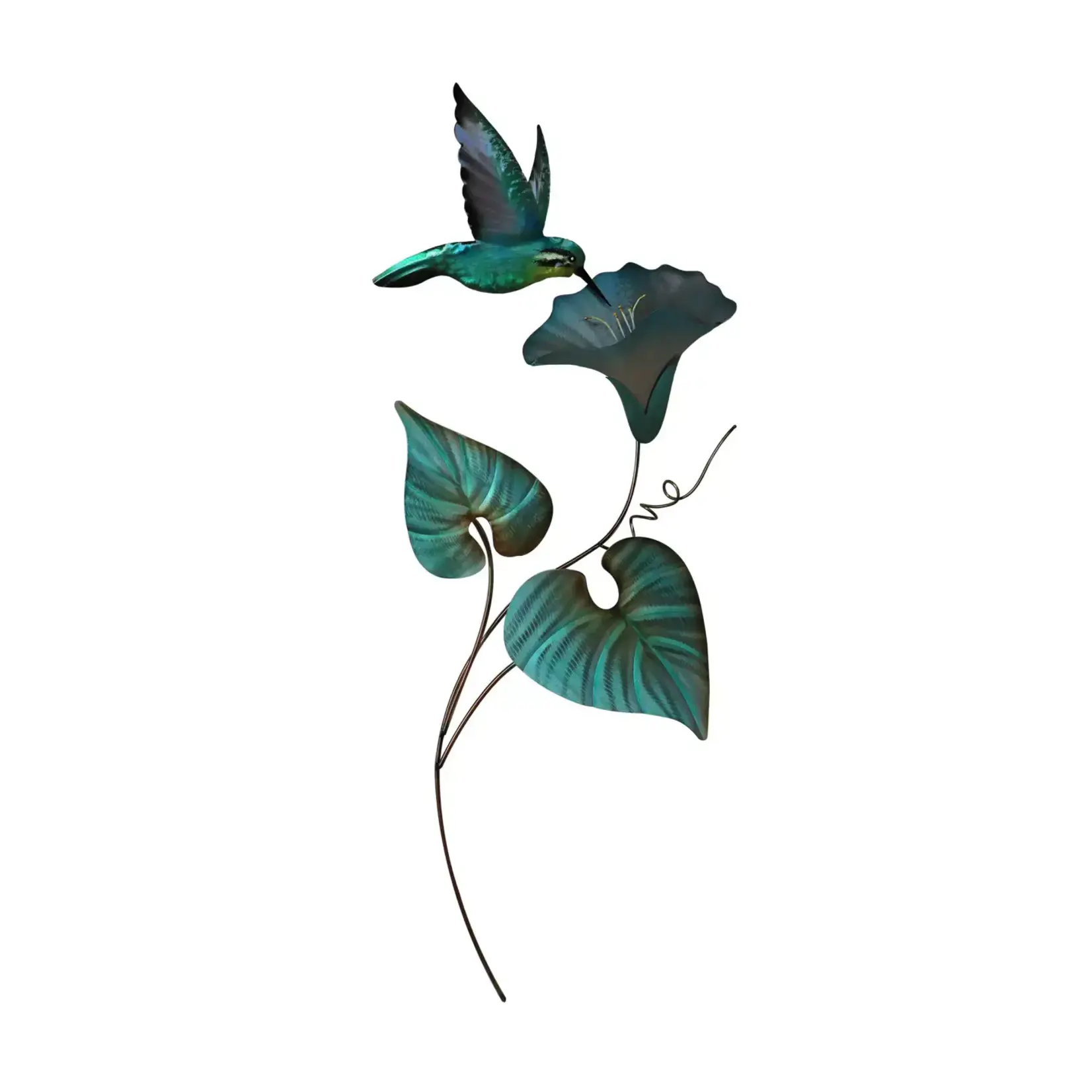 Single Hummingbird Morning Glory