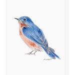 Melissa Hyatt "Bluebird" Watercolor Giclee Print 8x10