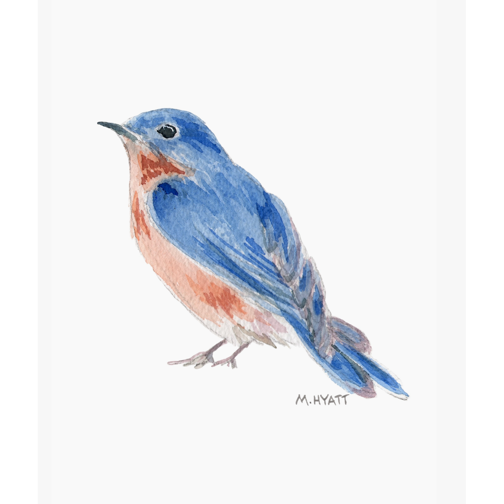 Melissa Hyatt "Bluebird" Watercolor Giclee Print 8x10