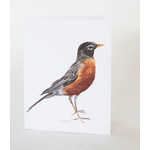 Melissa Hyatt "Robin" Sweet Watercolor Bird Greeting Card