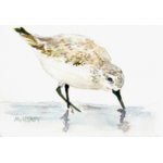 Melissa Hyatt "Sanderling" Giclee Print