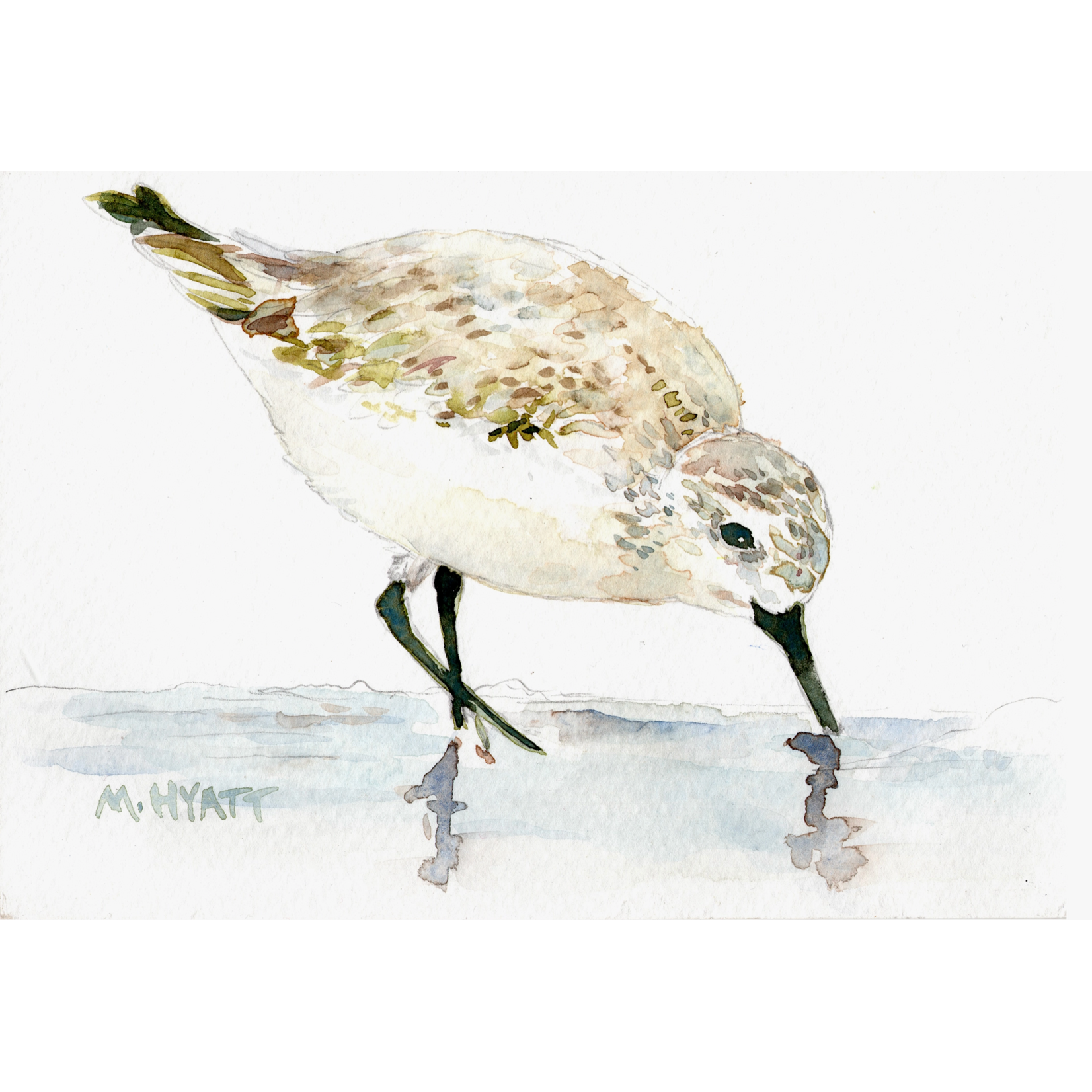 Melissa Hyatt "Sanderling" Giclee Print