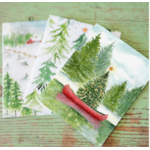Melissa Hyatt Canoe Christmas — Boxed Set of 6 — Holiday Cards Coastal