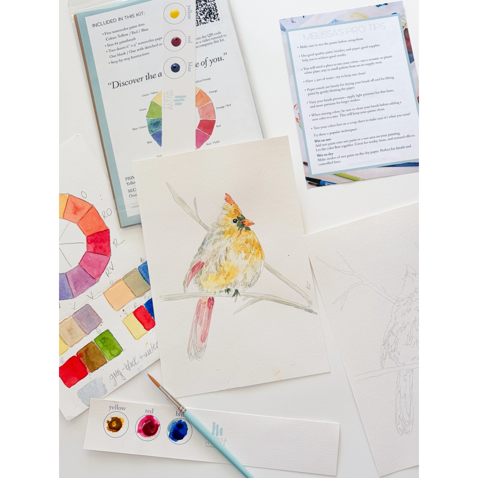 Melissa Hyatt Watercolor Art Kit - Lady Cardinal Holiday Paint DIY