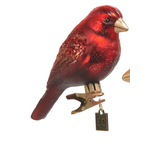 Raz Imports Clip-on Bird Ornament-small