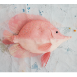 Creative Co-op Fish Ornament with Glitter, Sequins & Beads, Pink & White