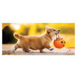 Trick or Treat Puppy Sassafras Switch Mat