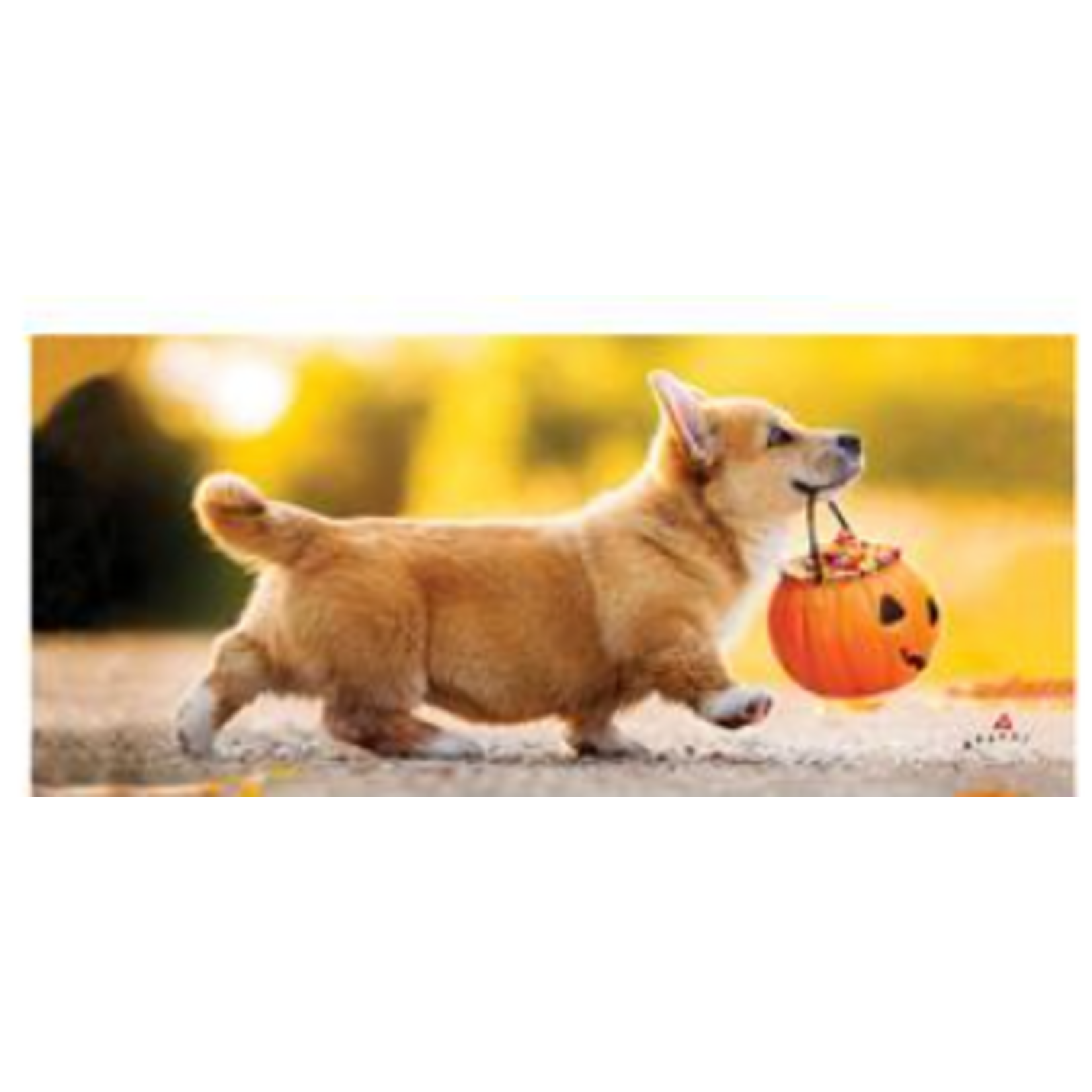 Trick or Treat Puppy Sassafras Switch Mat