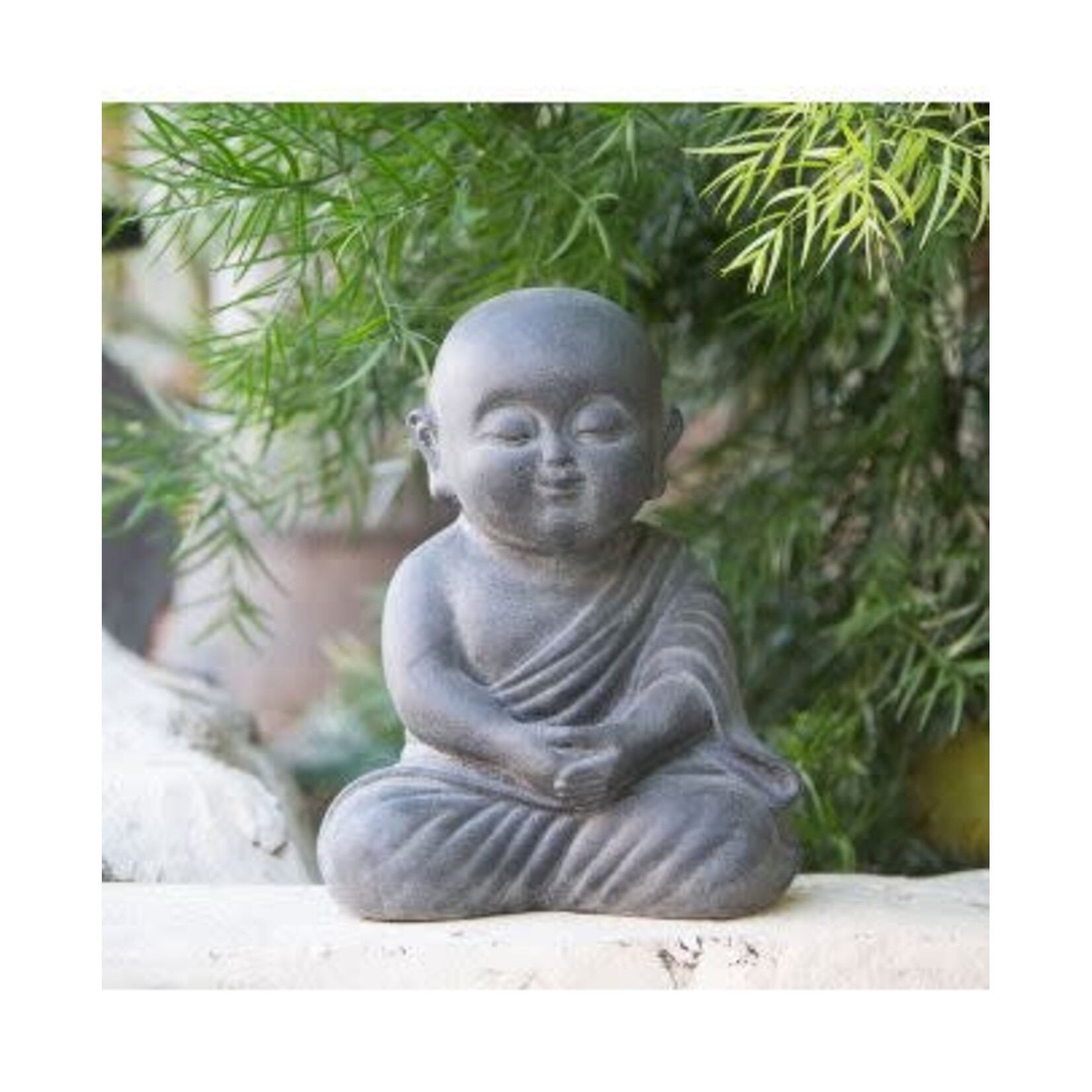 Peaceful Shaolin
