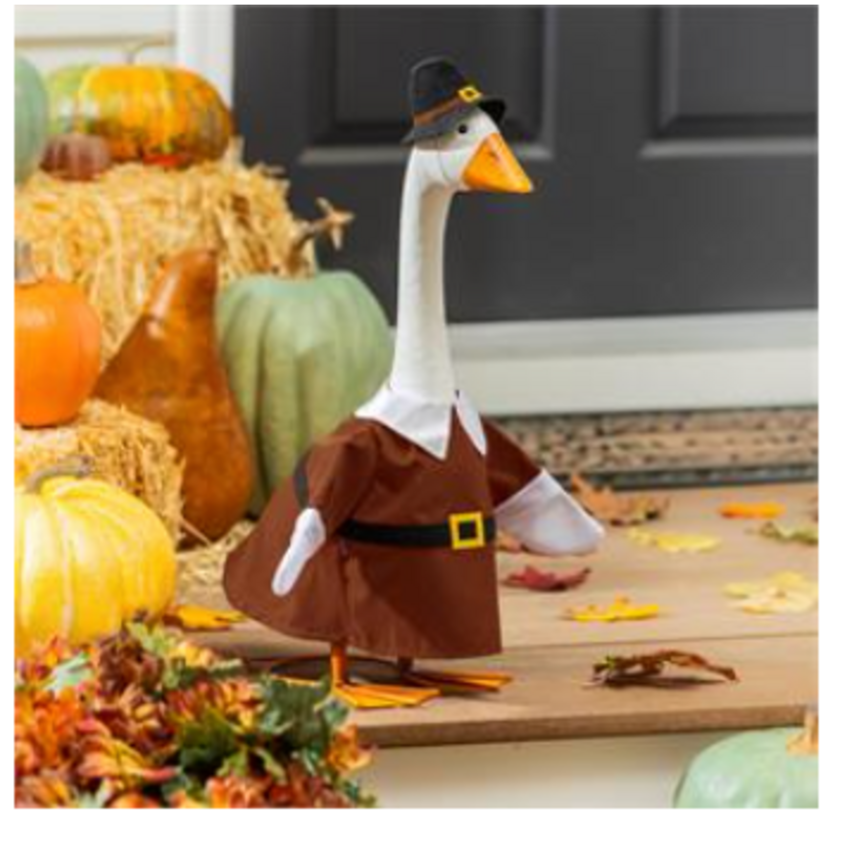 Giddy the Goose Outfit, Harvest Pilgrim with Pilgrim Hat & Buckle