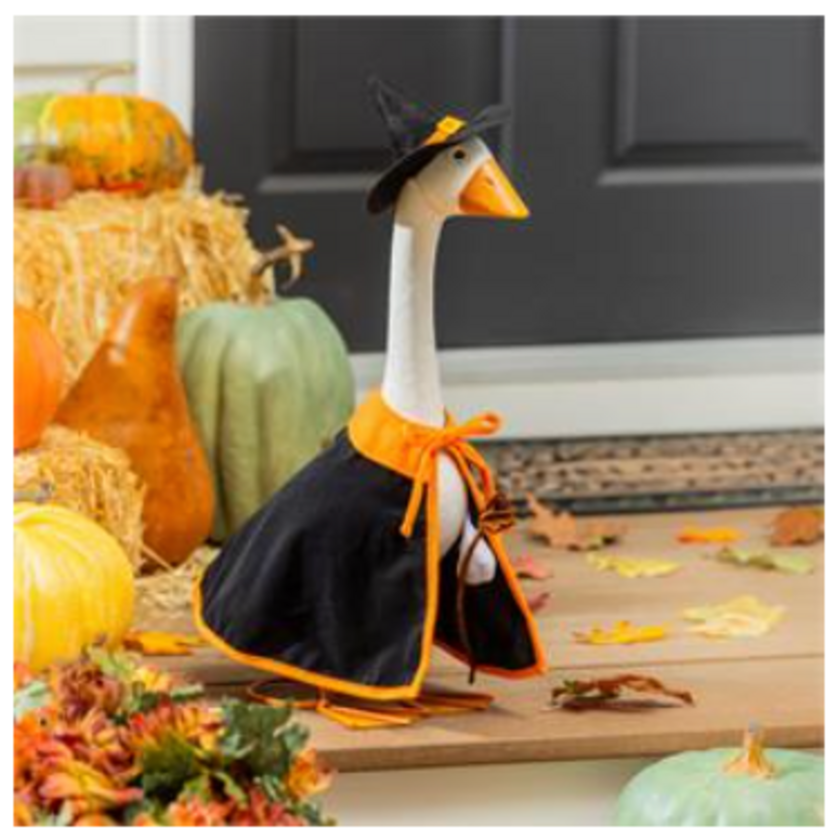 Giddy the Goose Outfit, Witch