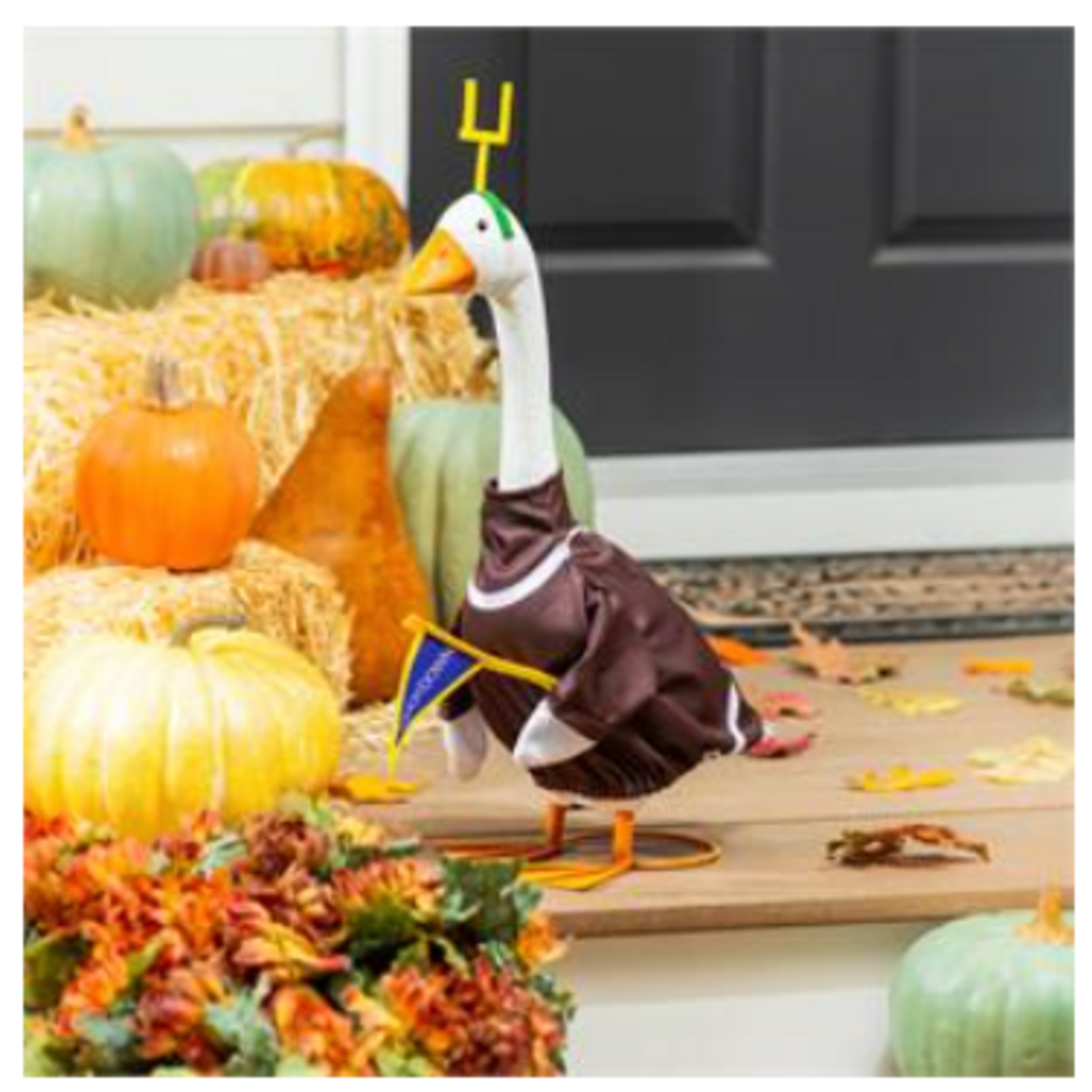 Giddy the Goose Outfit, Football Post