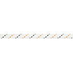 SPELEO II - 10MM X 600' WHITE
