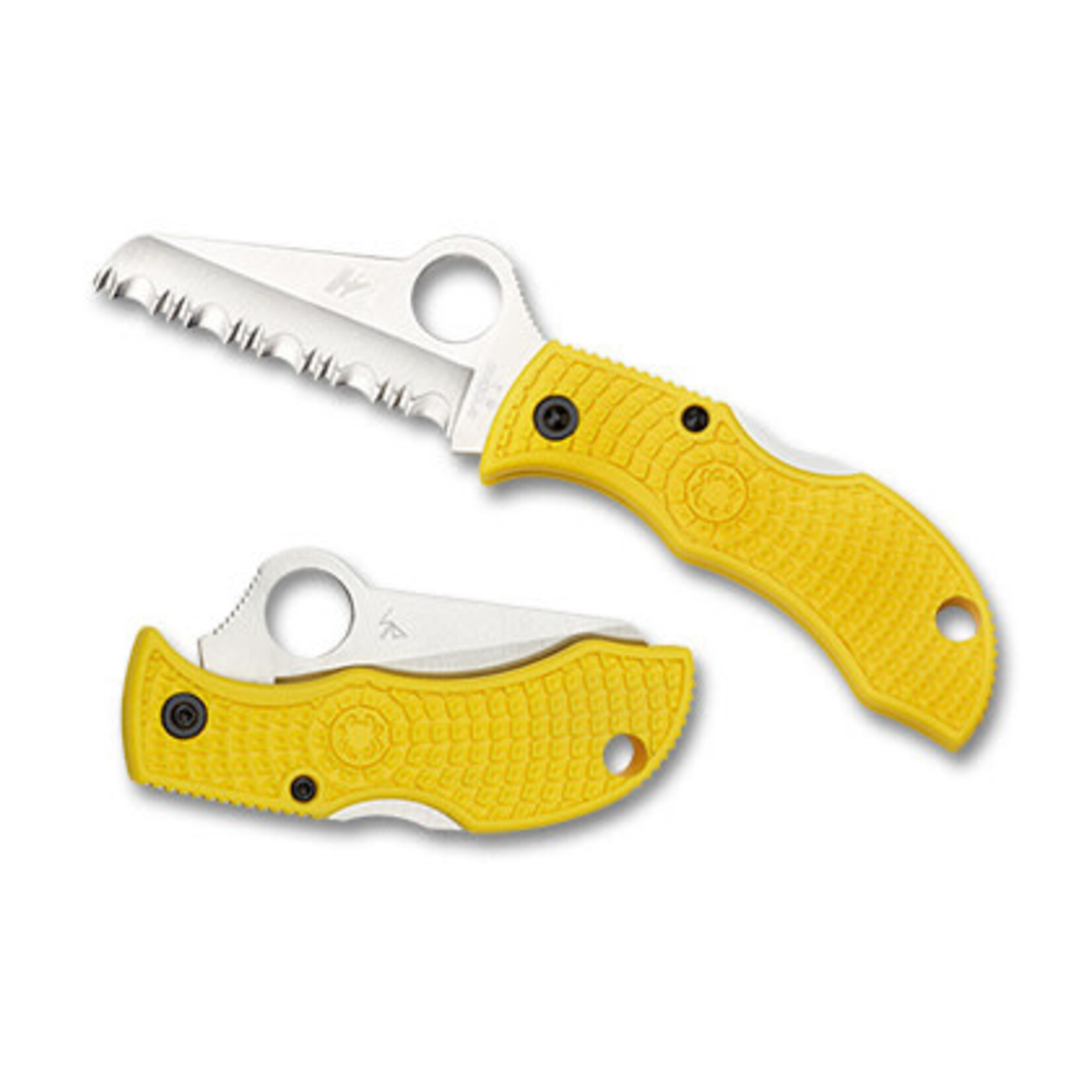 Spyderco Manbug Salt