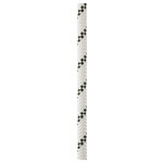 PETZL ROPE AXIS 11 MM 150FT WHITE