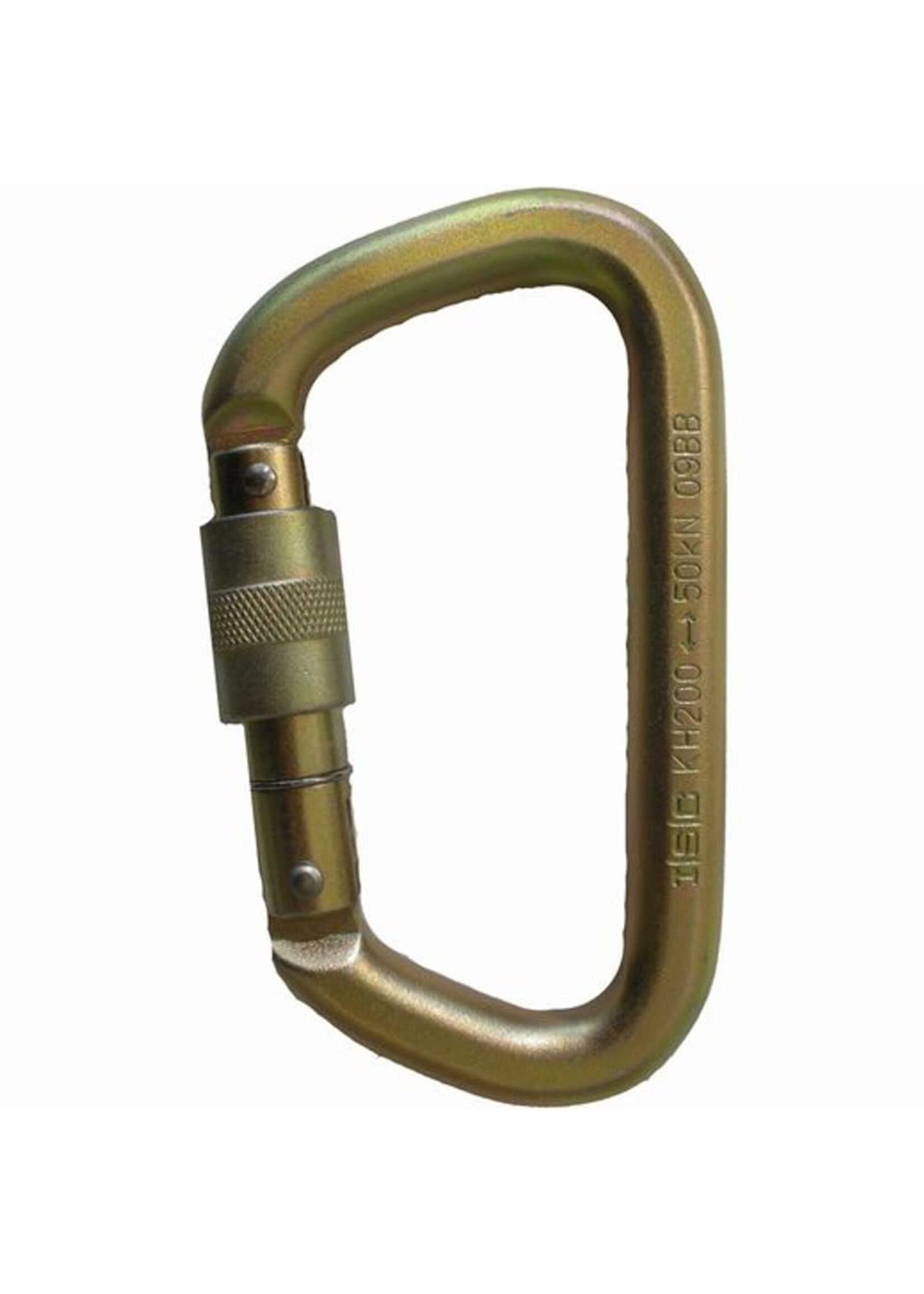 ISC Offset D Keylock Screwgate - 50kN