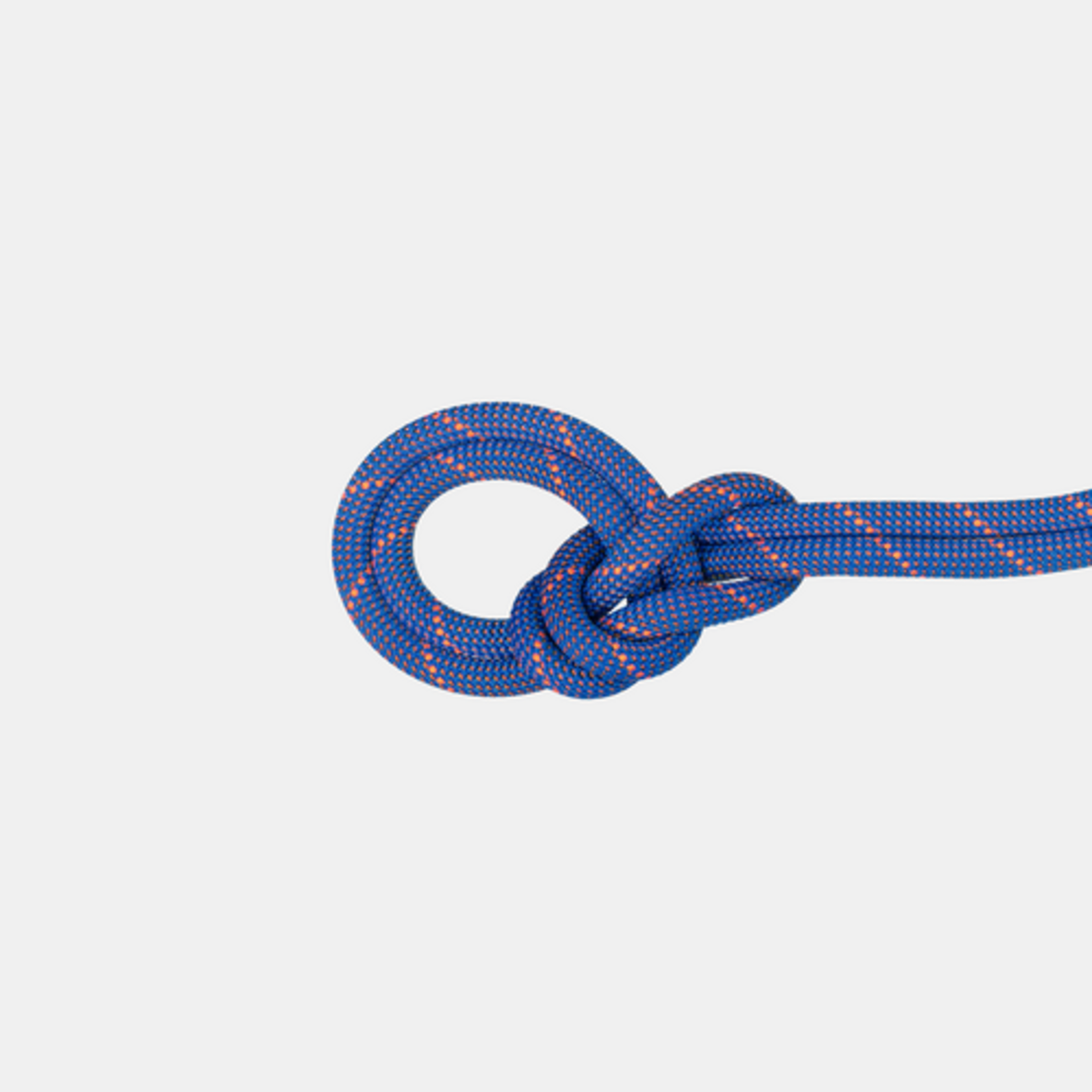 Mammut 9.0 Crag Sender Dry Rope