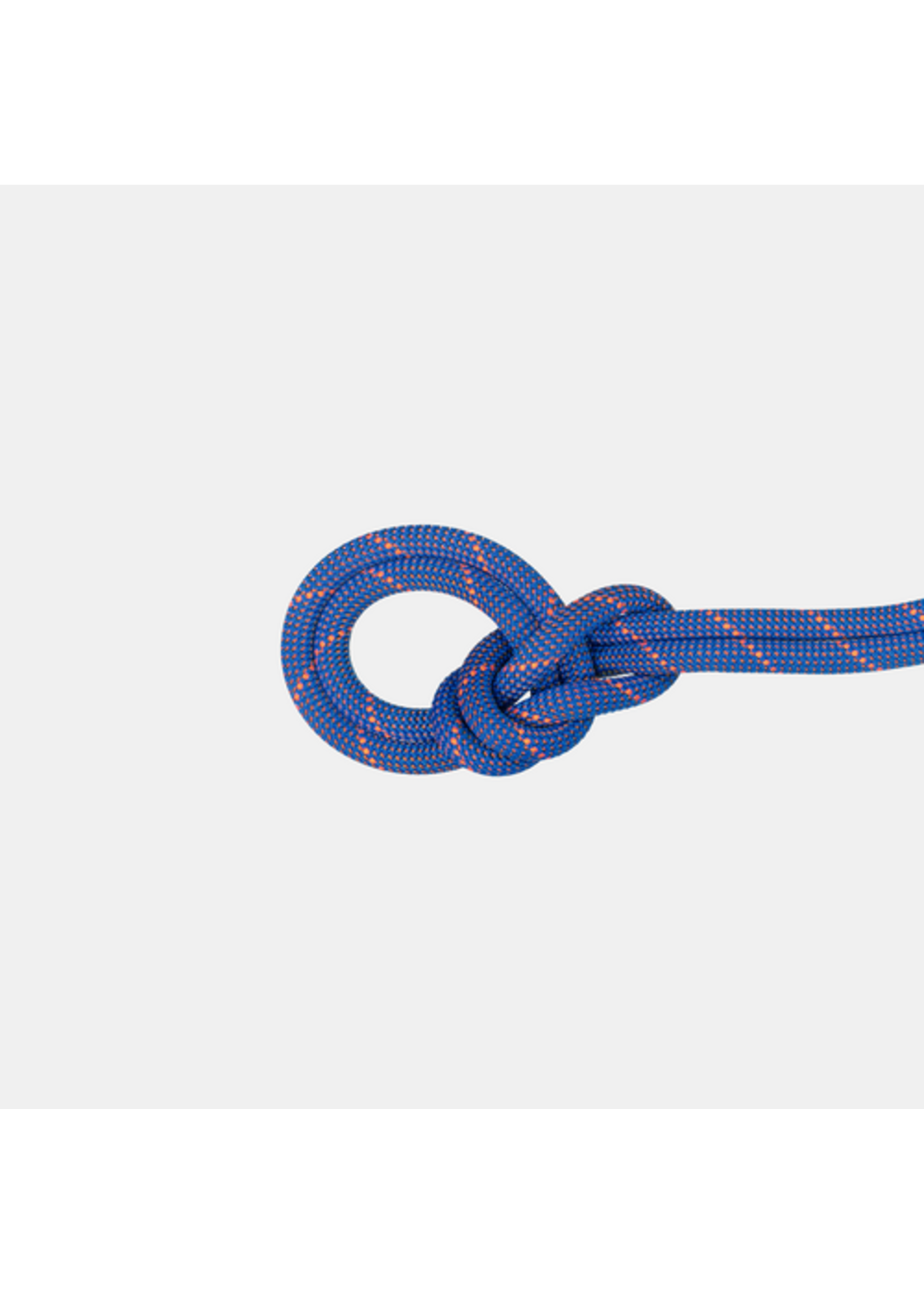 Mammut 9.0 Crag Sender Dry Rope