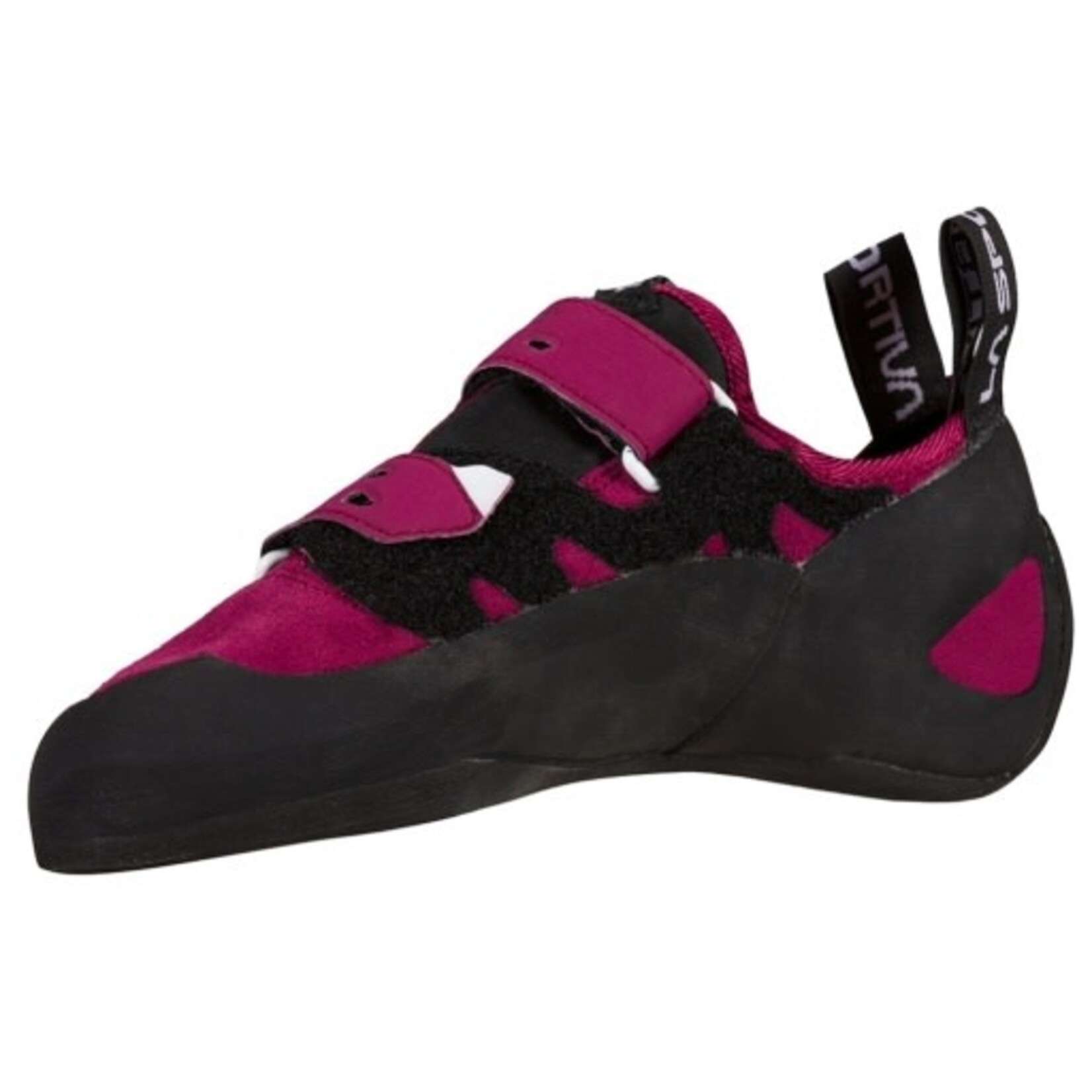 TARANTULA WOMENS