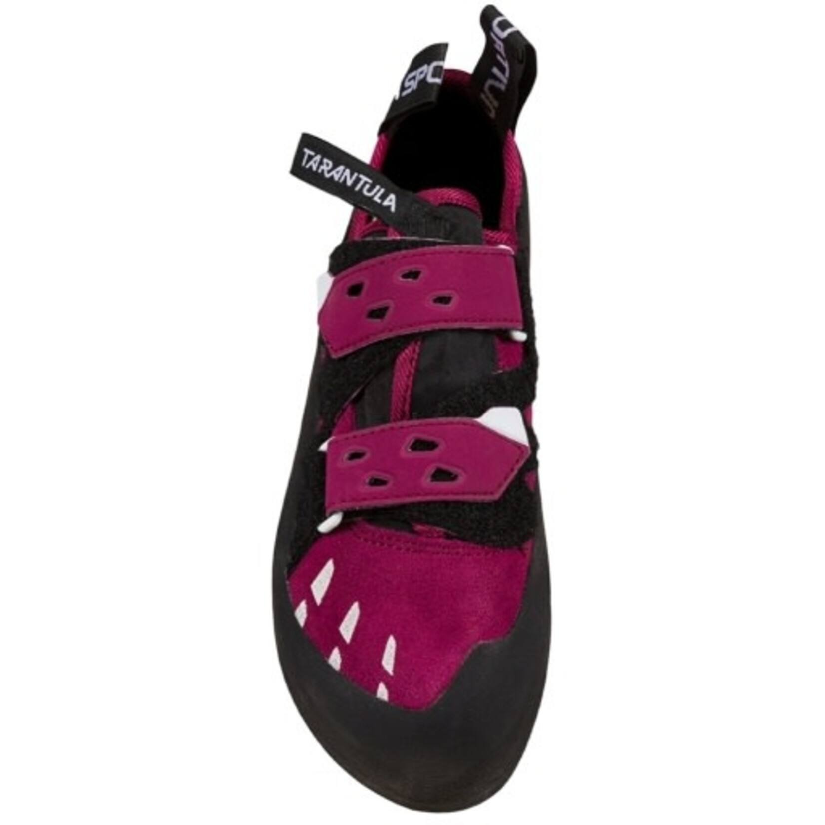 TARANTULA WOMENS