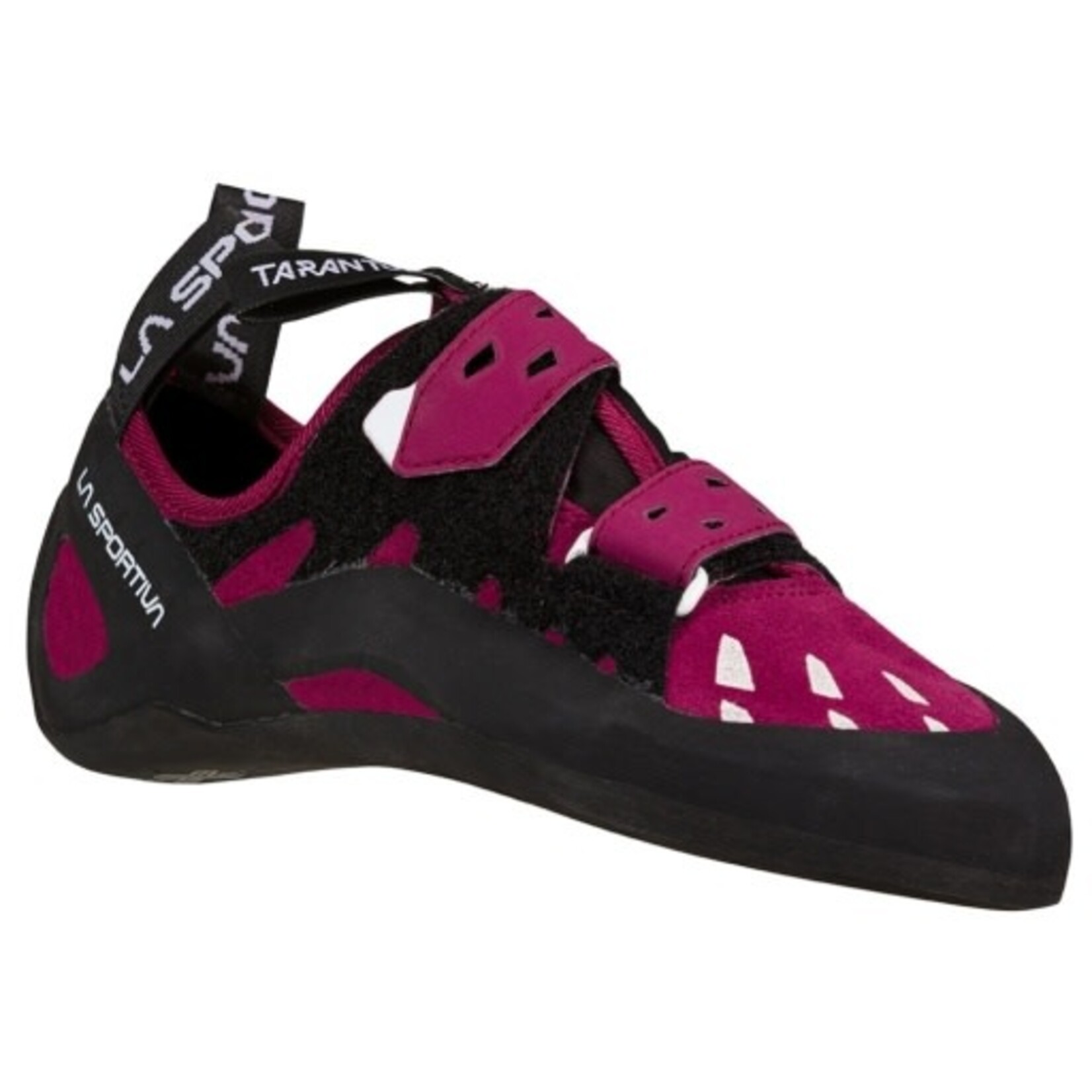 TARANTULA WOMENS