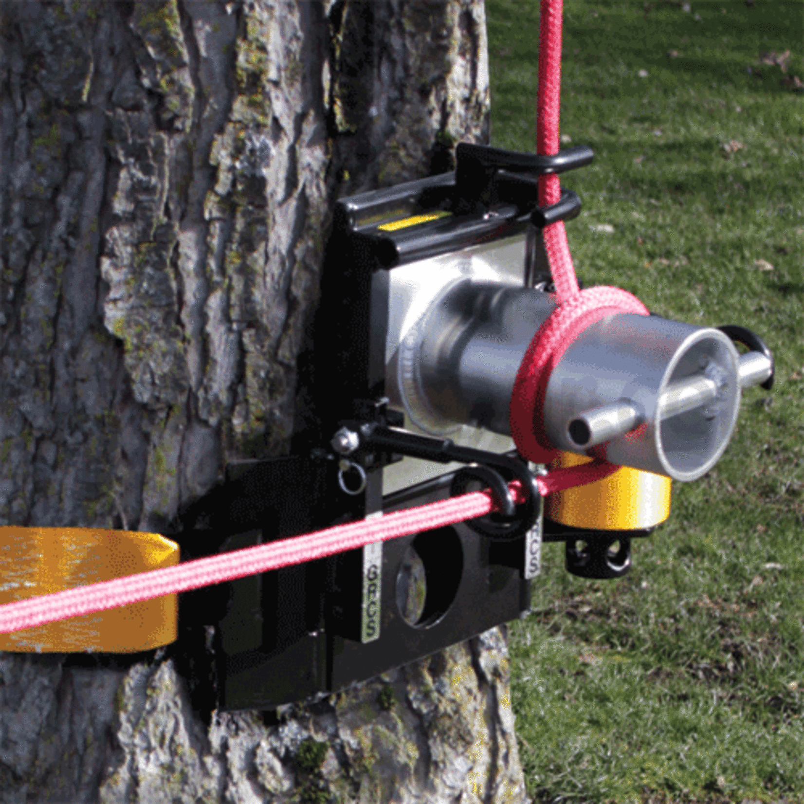 GRCS Good Rigging Control System Tree Mount Winch and Bollard