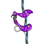 Rock Exotica Akimbo²