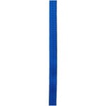Cypher 1/2" ROYAL TUBE WEBBING X FT