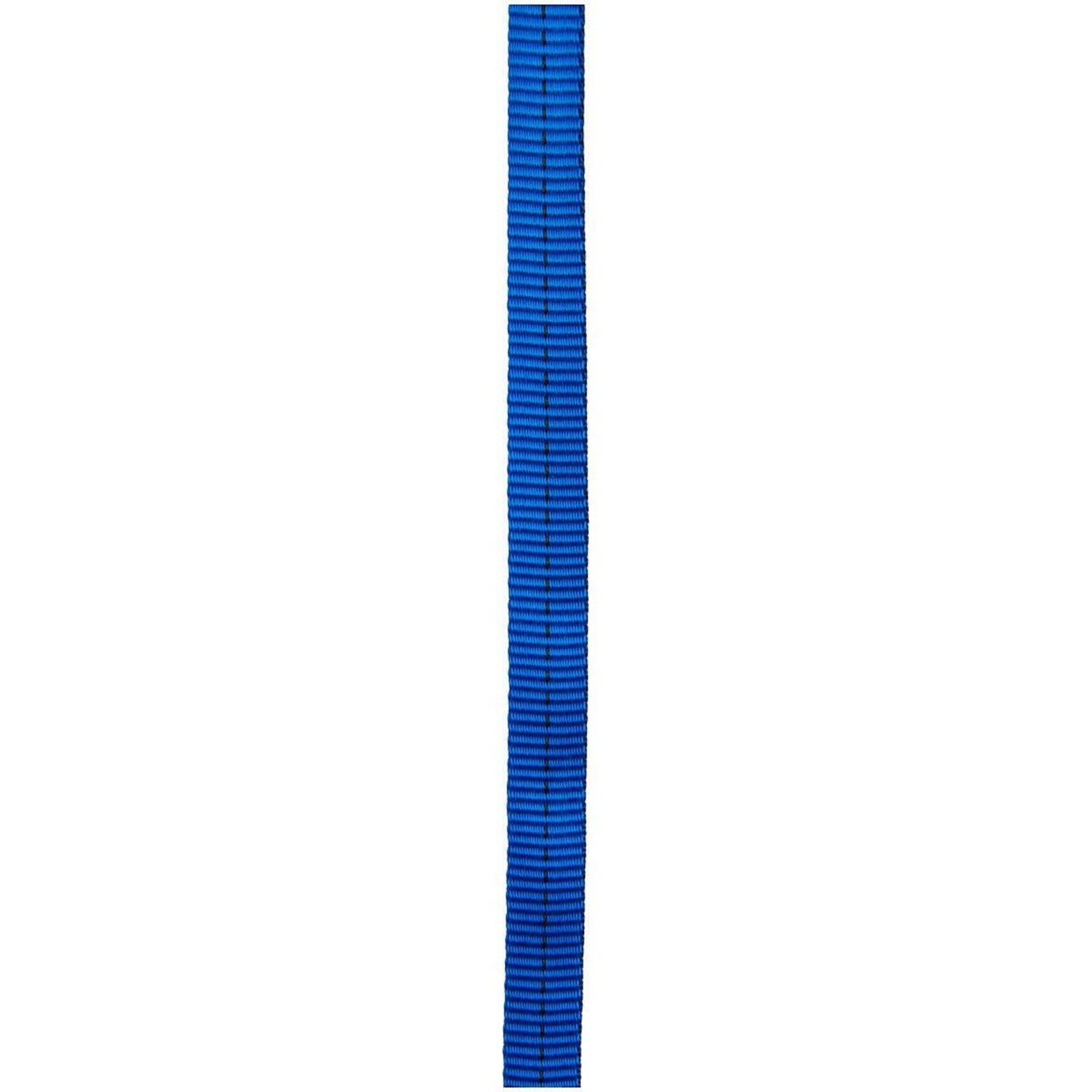 Cypher 1/2" ROYAL TUBE WEBBING X FT