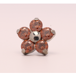 Neometal 18g prong set threadless end flower 5x1.5mm caramel