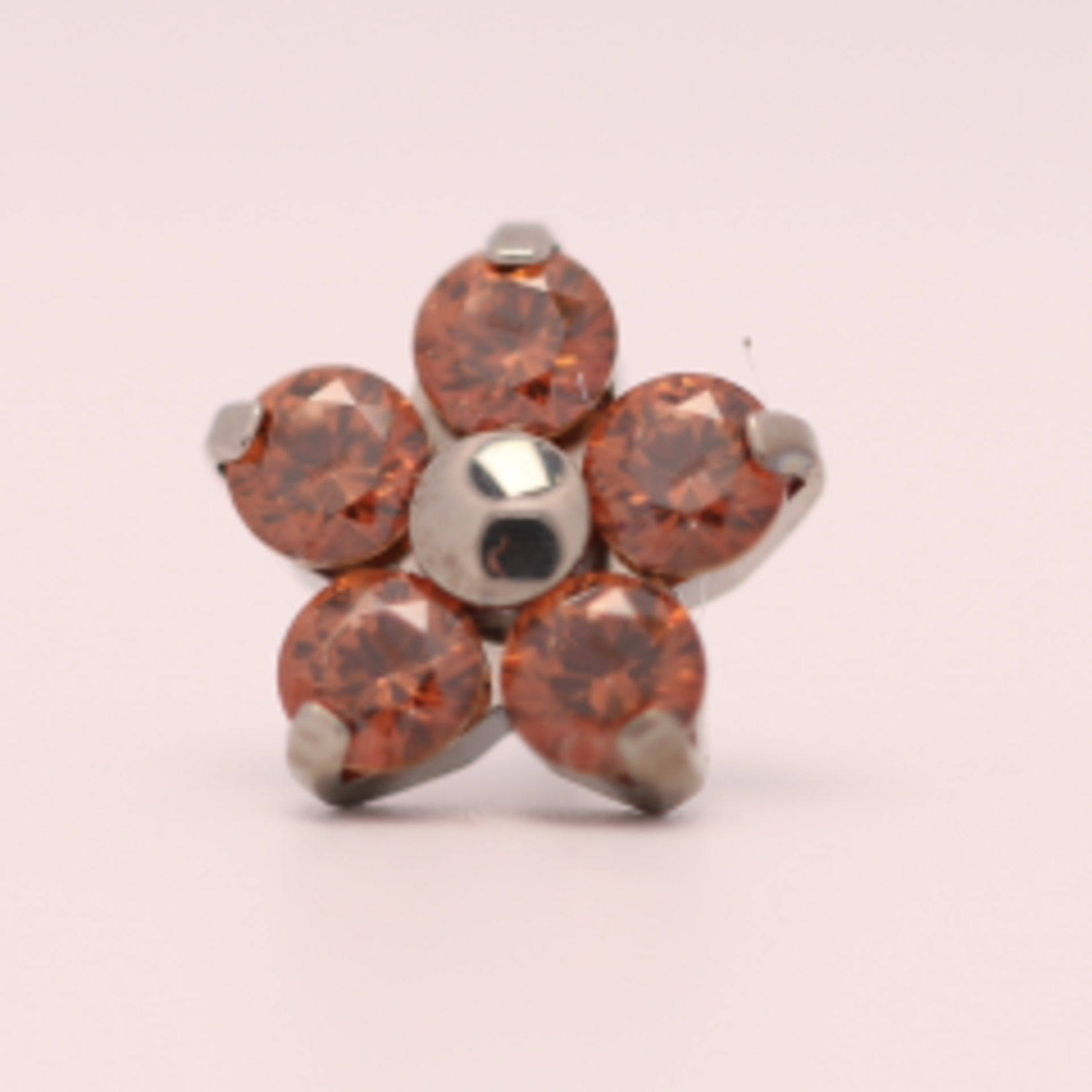 Neometal 18g prong set threadless end flower 5x2mm caramel