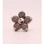 Neometal 18g prong set threadless end flower 5x2mm chocolate brown