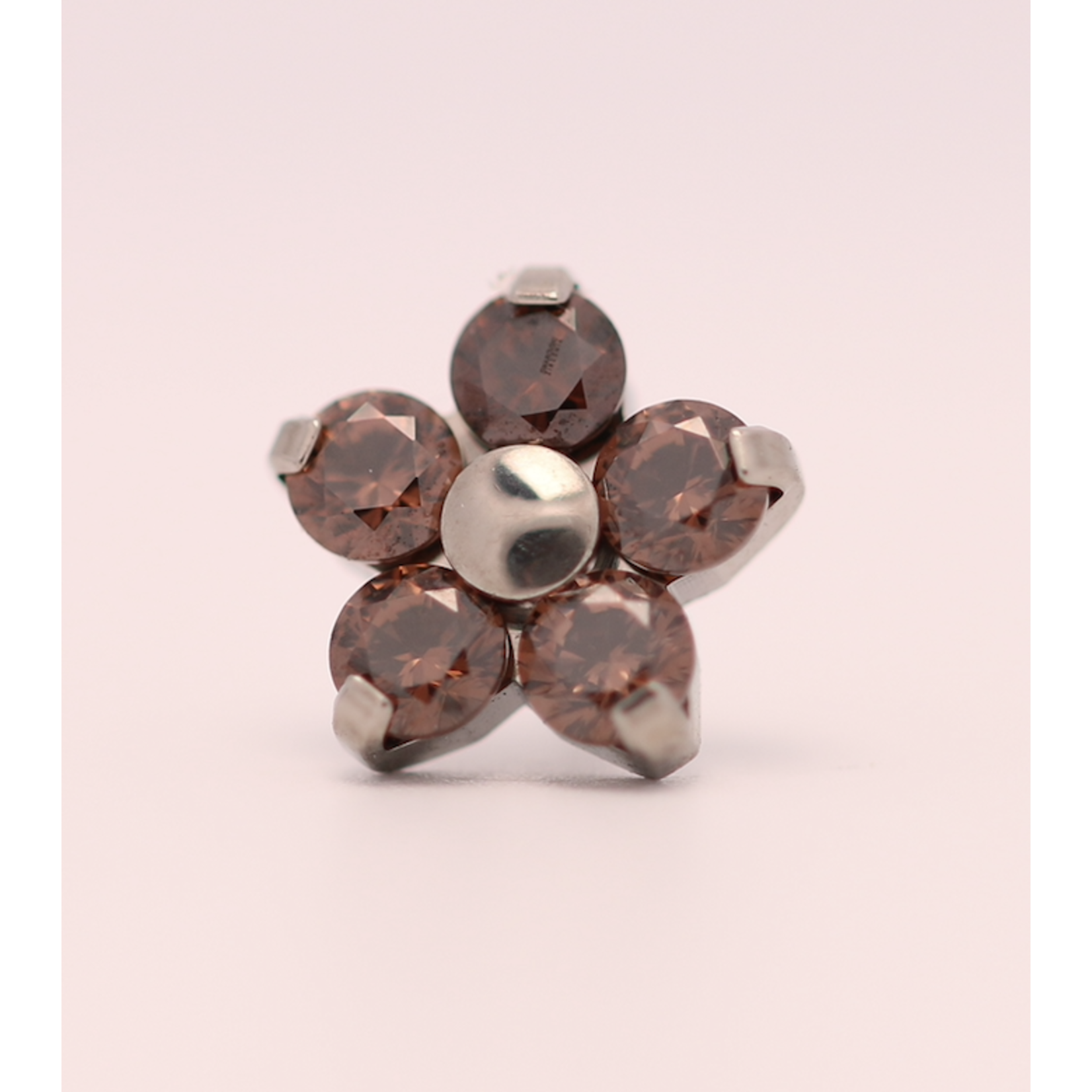 Neometal 18g prong set threadless end flower 5x2mm chocolate brown