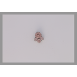 IS Body jewelry caeli captive gem end faceted with 4mm/2mm/2.5mm/2mm dusty morganite