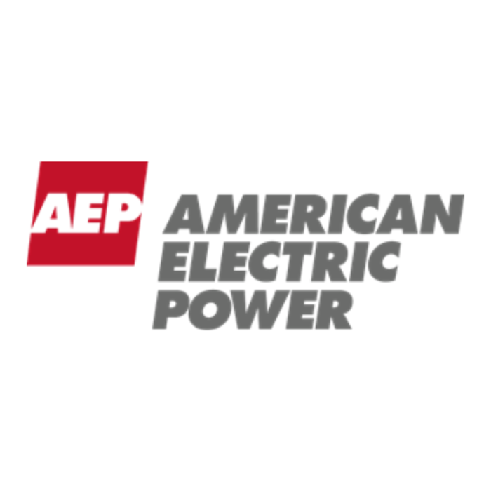 AMERICAN ENERGY POWER ELE9350 LAMP/TROUBLE 25FT LT-T25