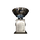 HAR0617 SCALE/CLOCK (FM) SN252451-66--WNR