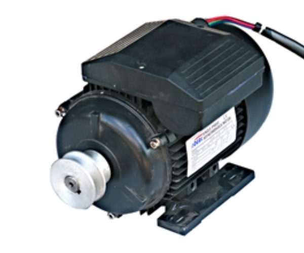 IND4177 MOTOR 110V/60HZ FOR TMS-C2002-WNR