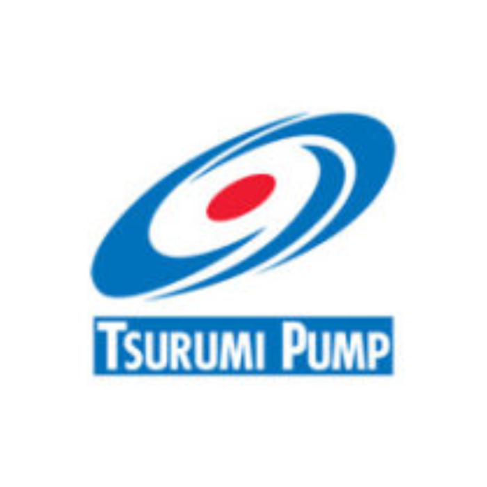 TSRUMI IND4208 PUMP/SUBMERSIBLE 2" 1/2HP108200 HS2.45-62 HS2.4S