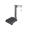 BETA STAR IND4211 SCALE/PLATFORM 500KG SP1203-D/S