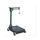 IND4275 SCALE/PLATFORM 100KG SP120--D/S