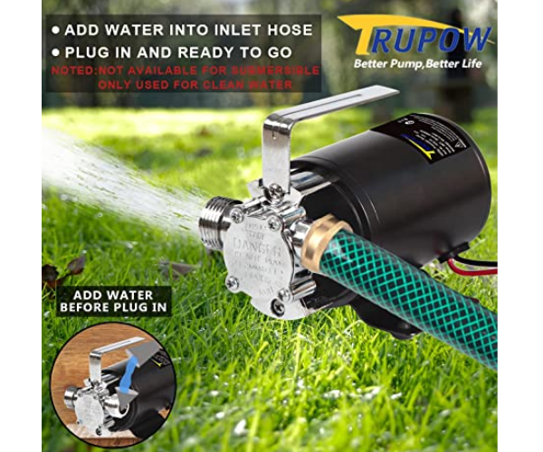 BETA STAR IND5142 PUMP/UTILITY 12V #94639--WNR
