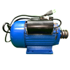 BETA STAR IND5595 MOTOR SY-60/55 110V 60HZ, WITH PULLEY, ELECTRIC CORD 2HP (PLUCKING MACHINE)