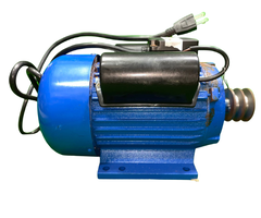 BETA STAR IND5595 MOTOR SY-60/55 110V 60HZ, WITH PULLEY, ELECTRIC CORD 2HP (PLUCKING MACHINE)