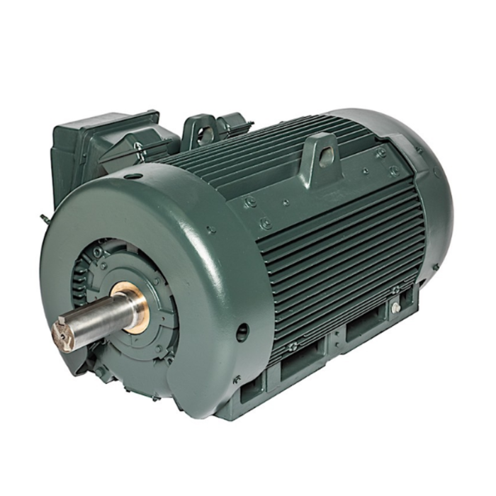 BETA STAR IND5600 MOTOR WITH PULLEY FOR SY-230 220V 60HZ