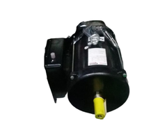 BETA STAR IND5631 MOTOR/ELECTRIC 3HP,1725RPM,220V, 60HZ BETASTAR