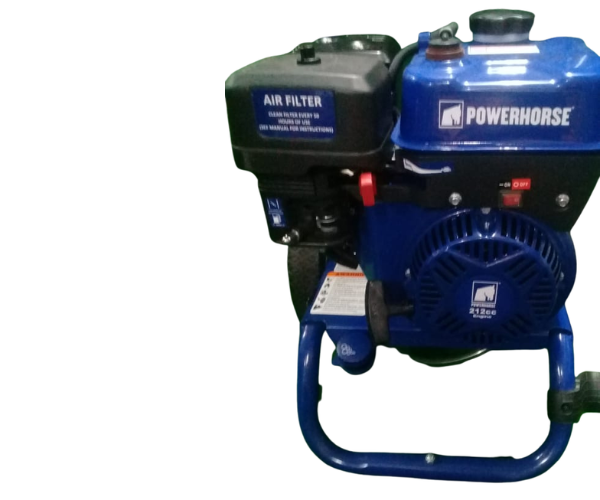 POWERHORSE GAS PRESSURE WASHER 3200PSI (IND5657)