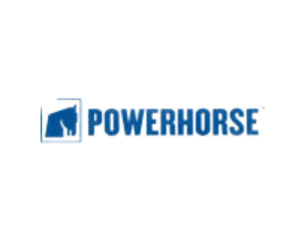 POWERHORSE GAS PRESSURE WASHER 3200PSI (IND5657)