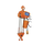 ELECTRIC CHAIN HOIST 3 TON(IND5674)